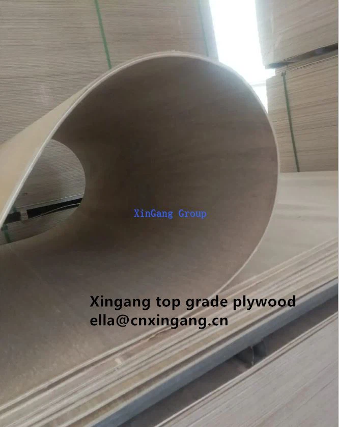 Curved Molded Plywood Hot Sale 3mm Poplar Core Marine Flexible Curved Plywood