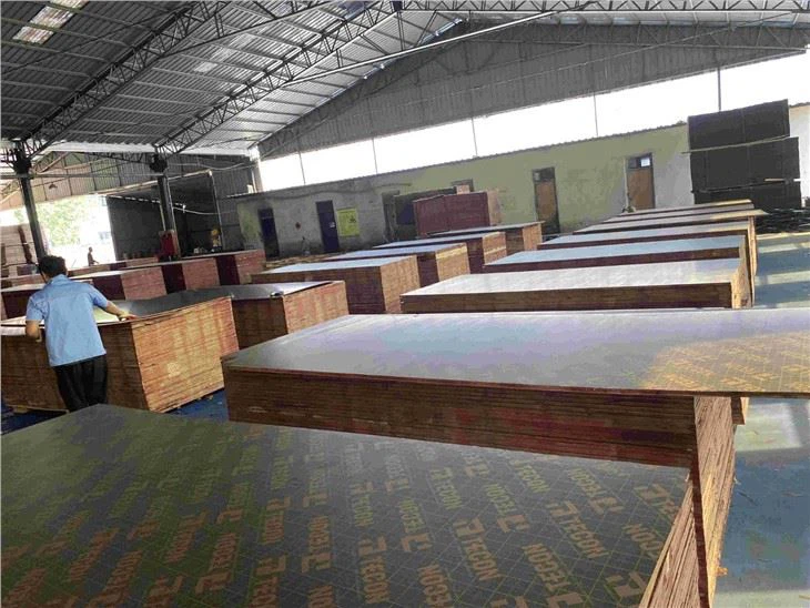 Poplar Film Faced Plywood For Construction