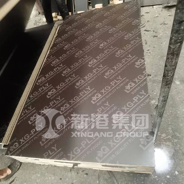 OSB20241129