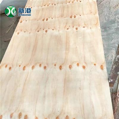 18mm CDX Pine Plywood